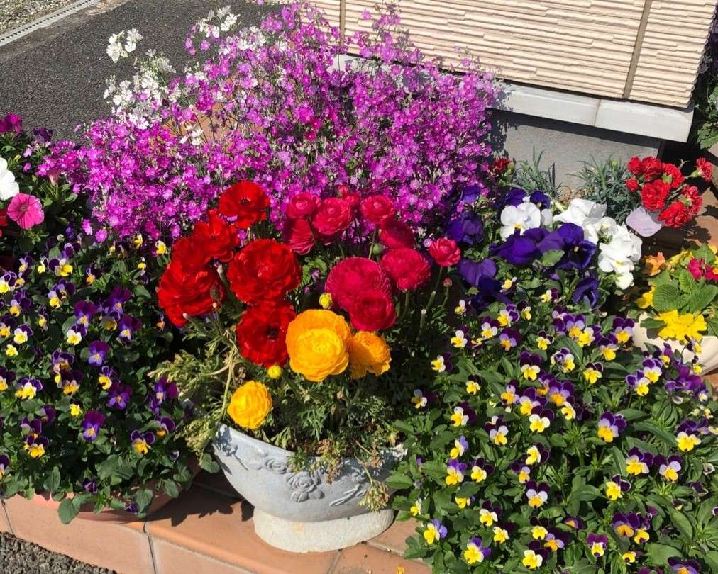 Blommor på terrassen Pussel online