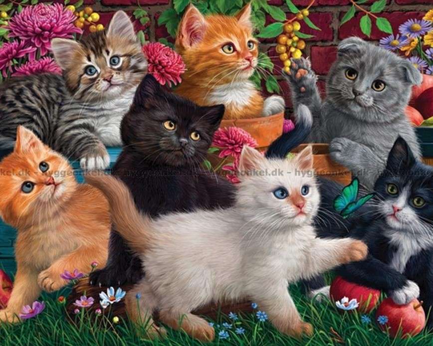 Gattini in giardino puzzle online