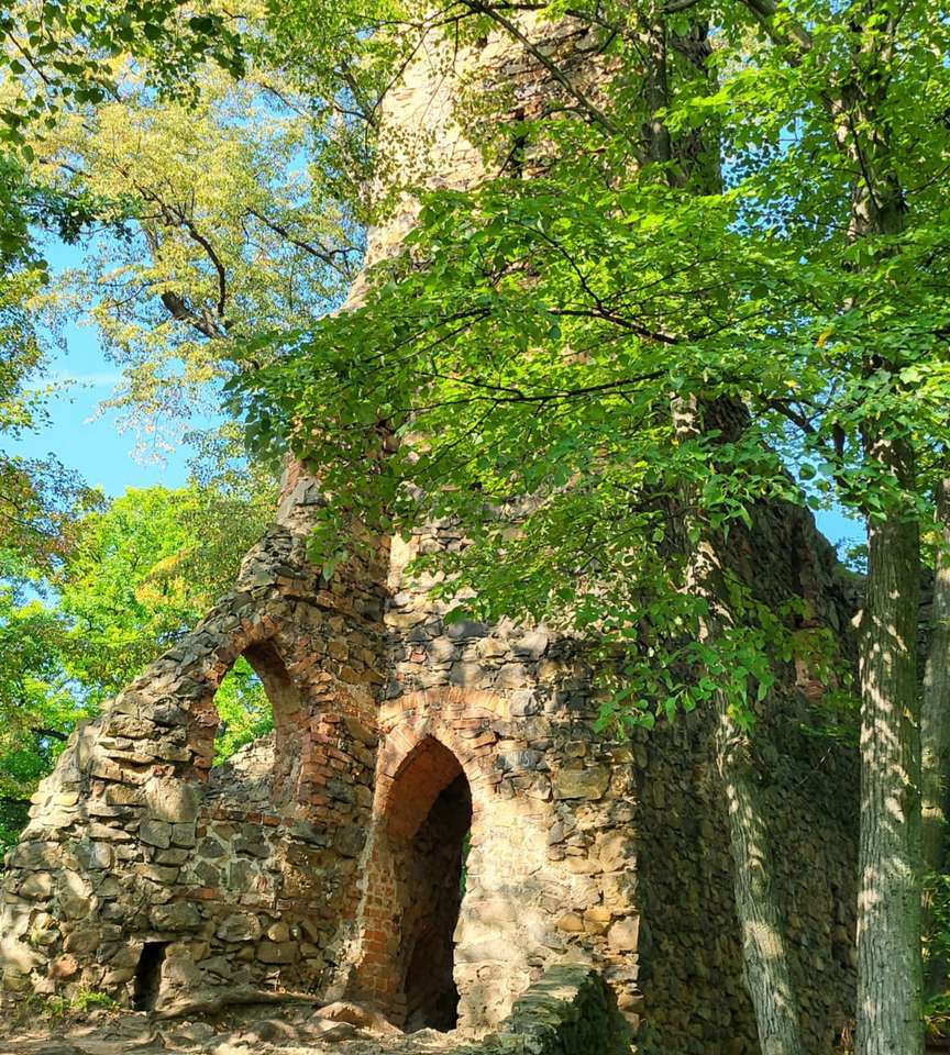 руины замка среди деревьев онлайн-пазл