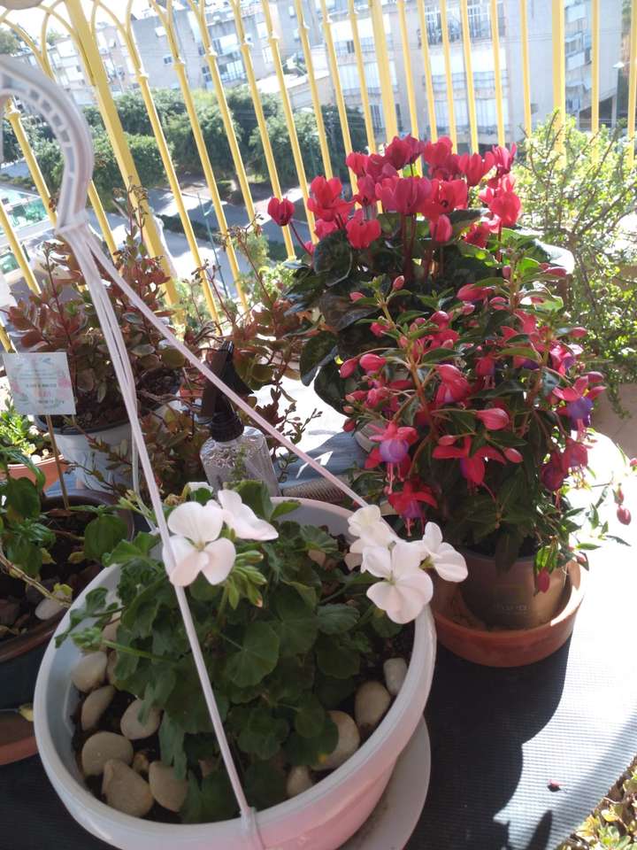 balkon s květinami v květináčích skládačky online