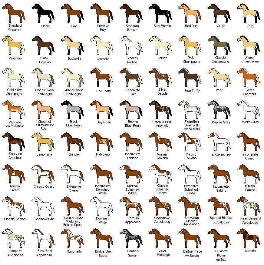 馬の色 ジグソーパズルオンライン