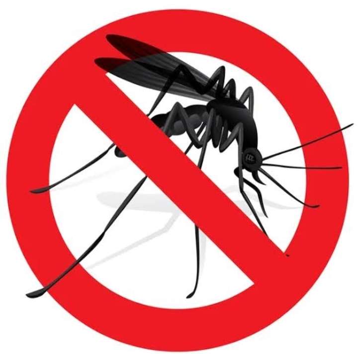 Dengue-láz online puzzle