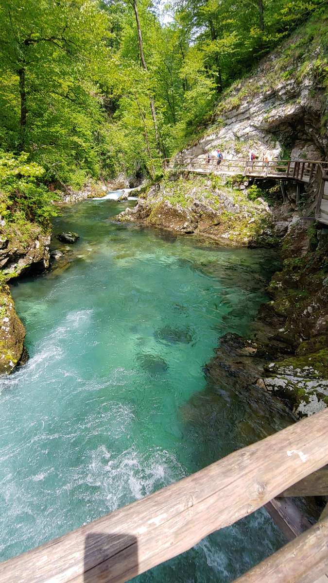 ruisseau de montagne en Slovénie puzzle en ligne