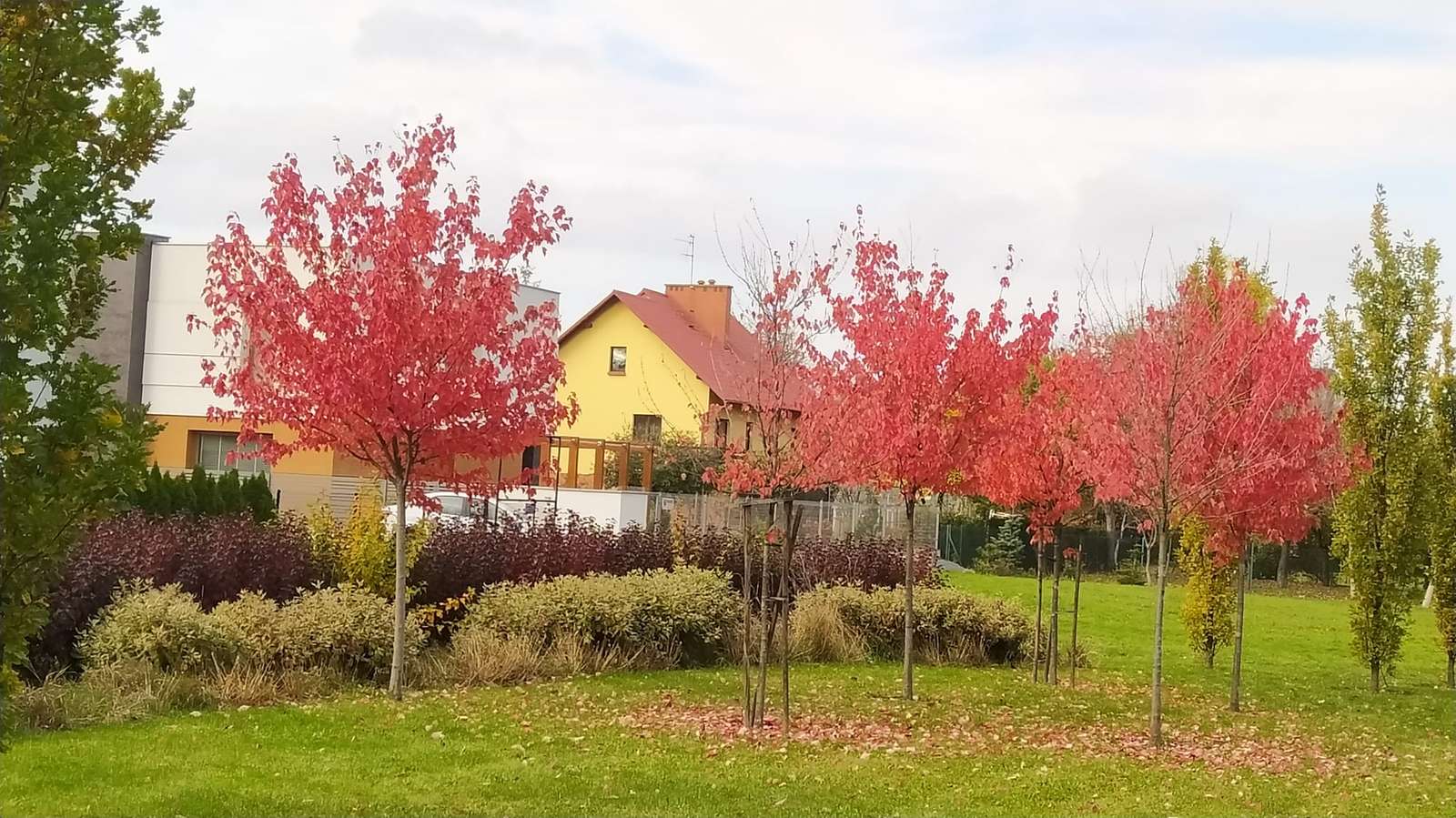 árvores de outono no jardim puzzle online