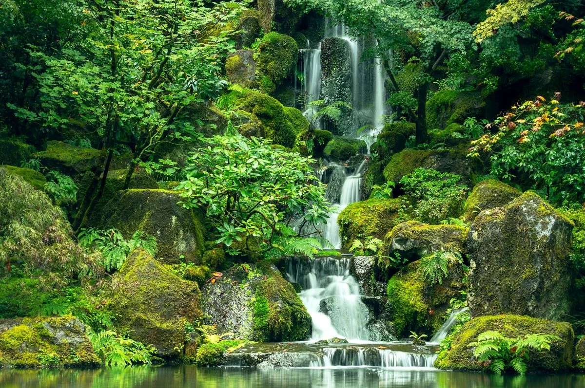 лісовий водоспад онлайн пазл