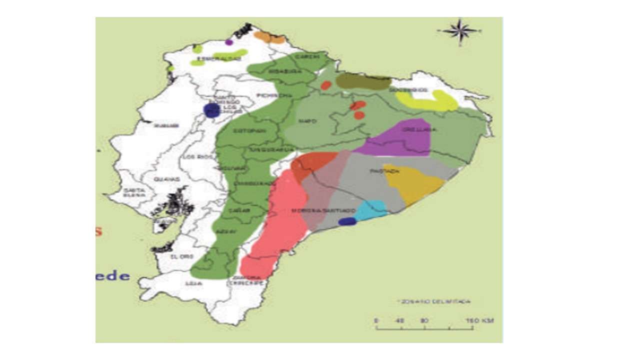Langues maternelles de l'Équateur puzzle en ligne