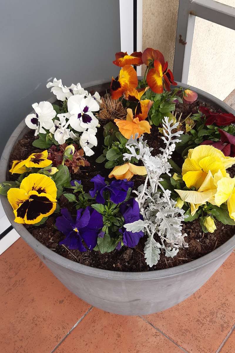 装飾的な花が入った植木鉢 ジグソーパズルオンライン
