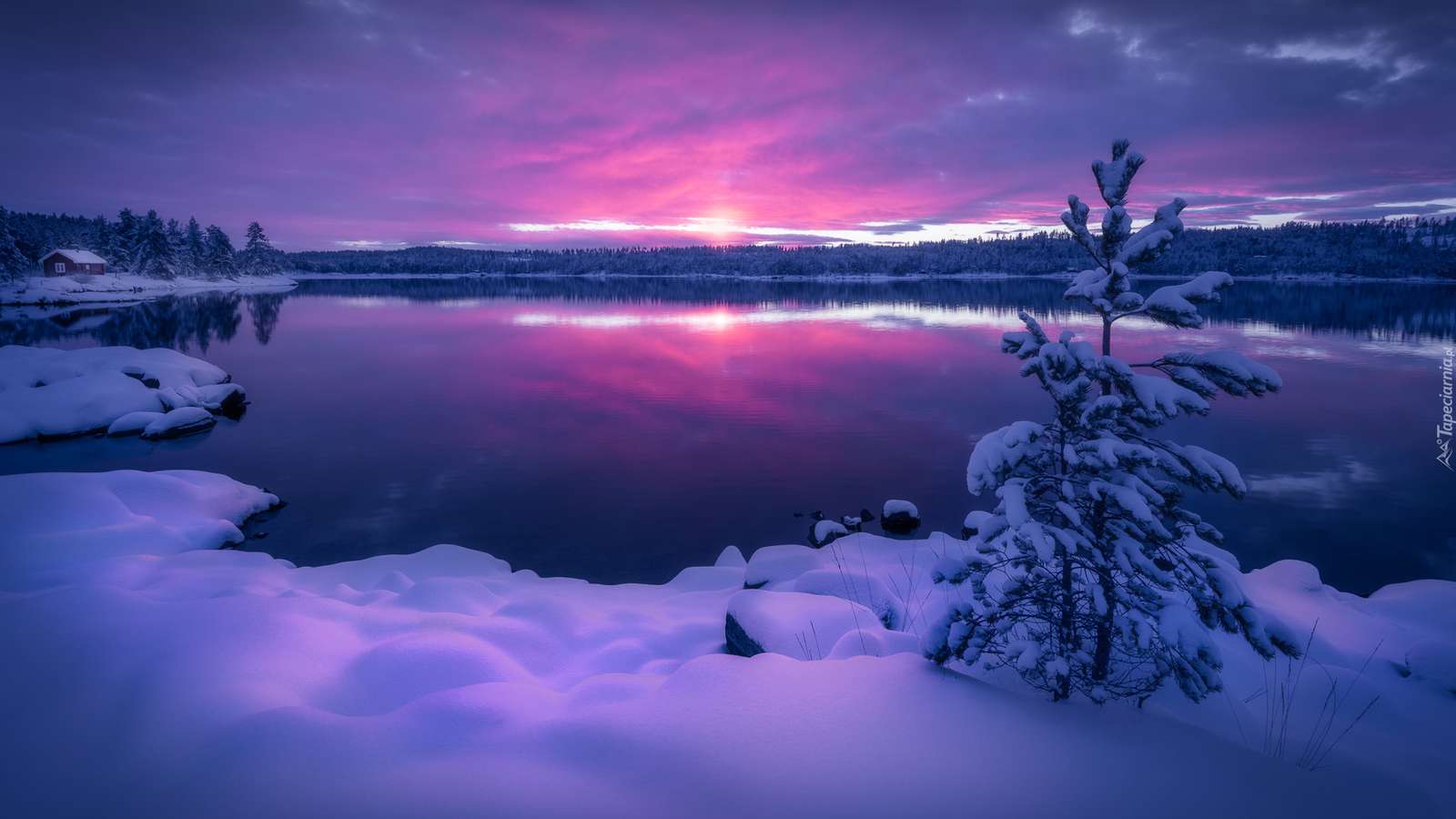 Paisaje de invierno rompecabezas en línea