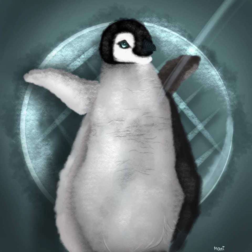 Anniversaire des Pingouins du Nord puzzle en ligne