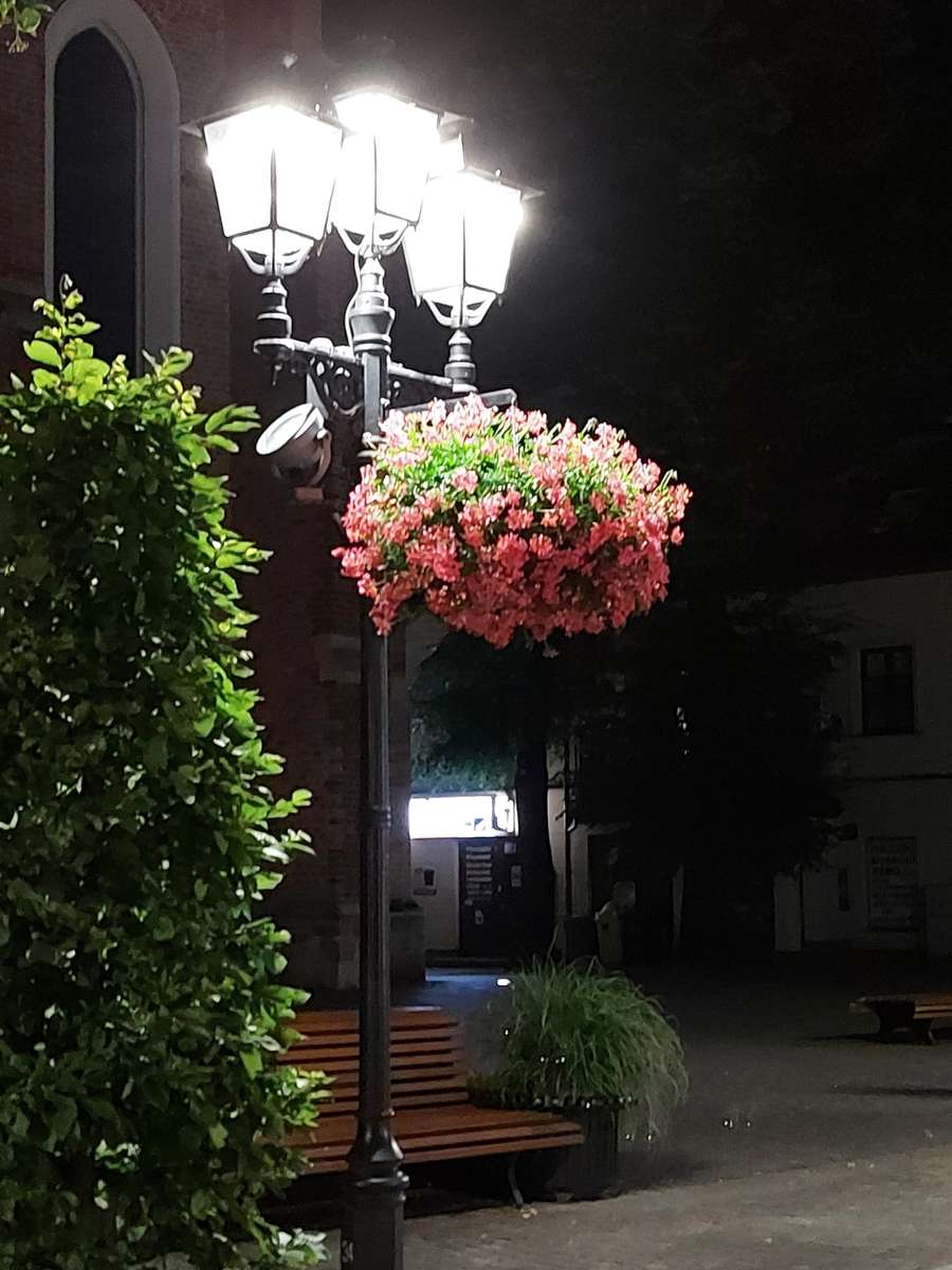 noční lampa květiny skládačky online