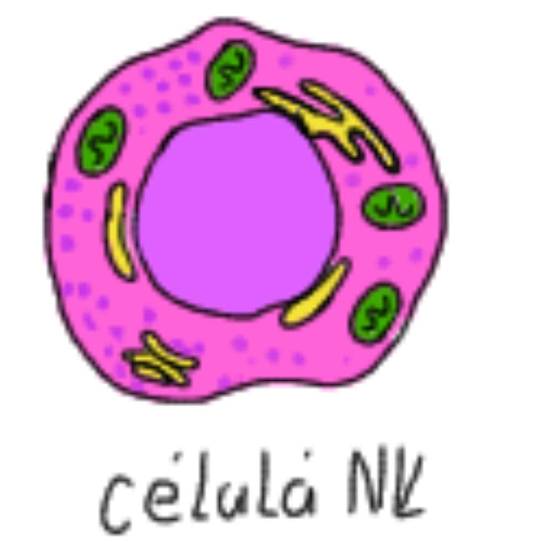 NK cell jigsaw puzzle online