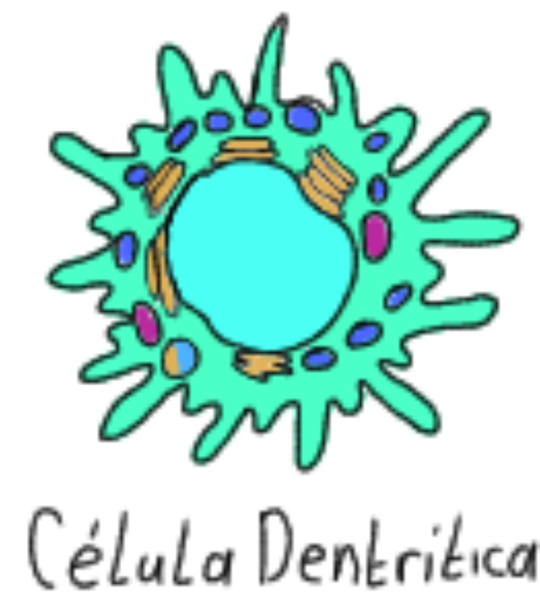 cellula dendritica puzzle online