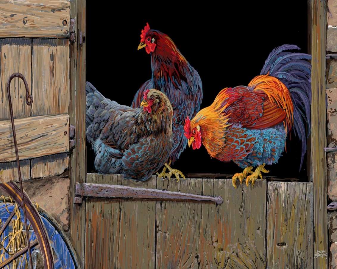Găini colorate puzzle online