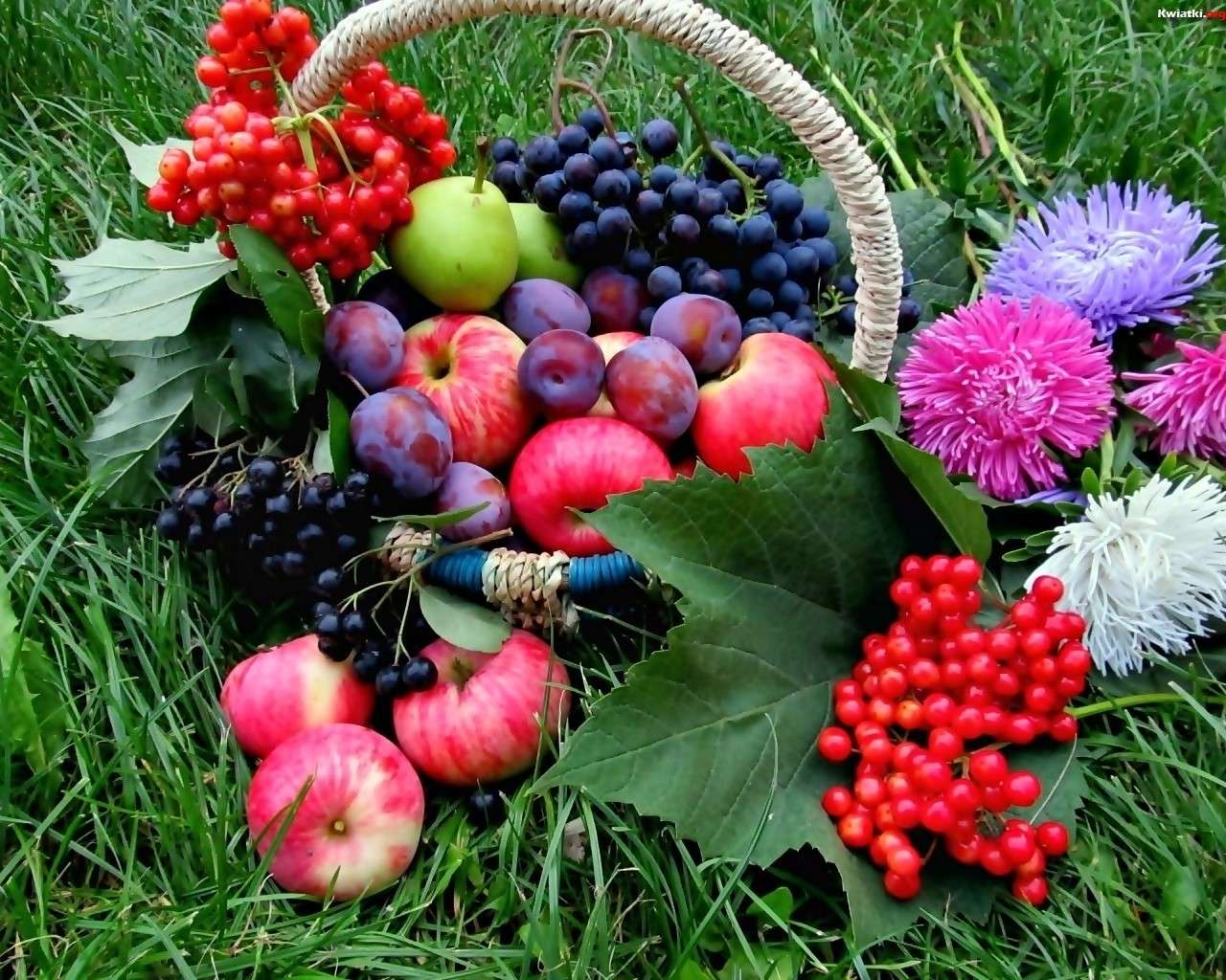 Récolte de fruits dans un panier puzzle en ligne
