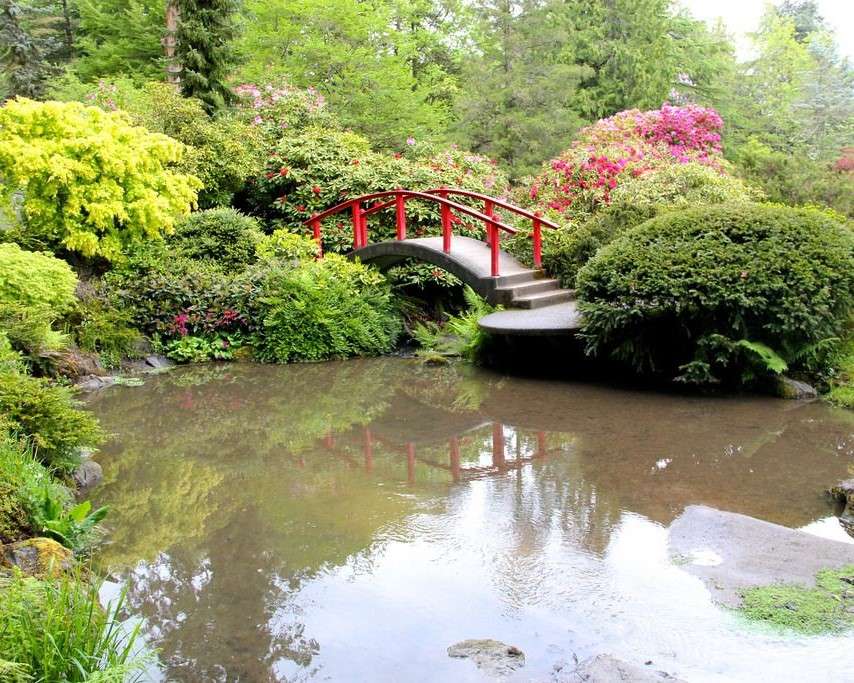 Езерце с мост в парка онлайн пъзел