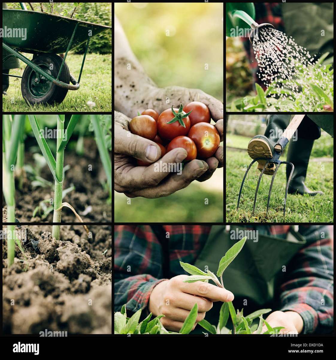 Gardening rompecabezas en línea