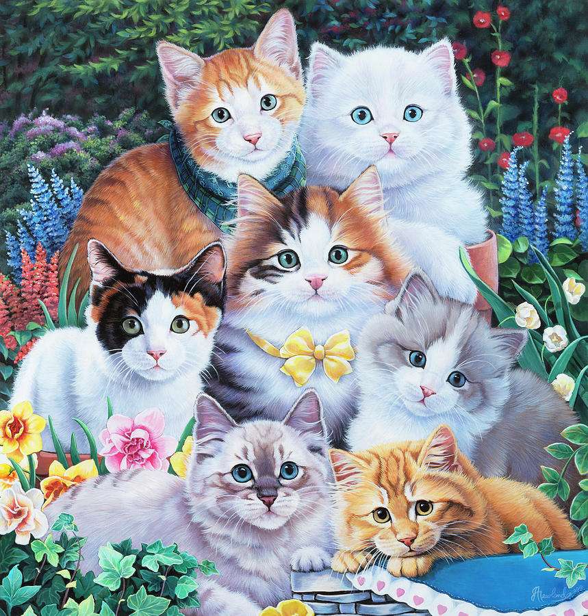 Schattige katten online puzzel