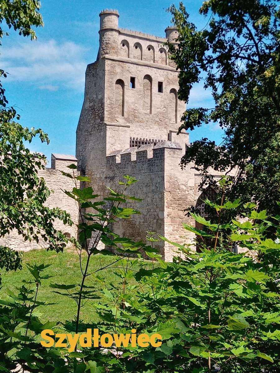 edificio storico a Szydłowiec puzzle online
