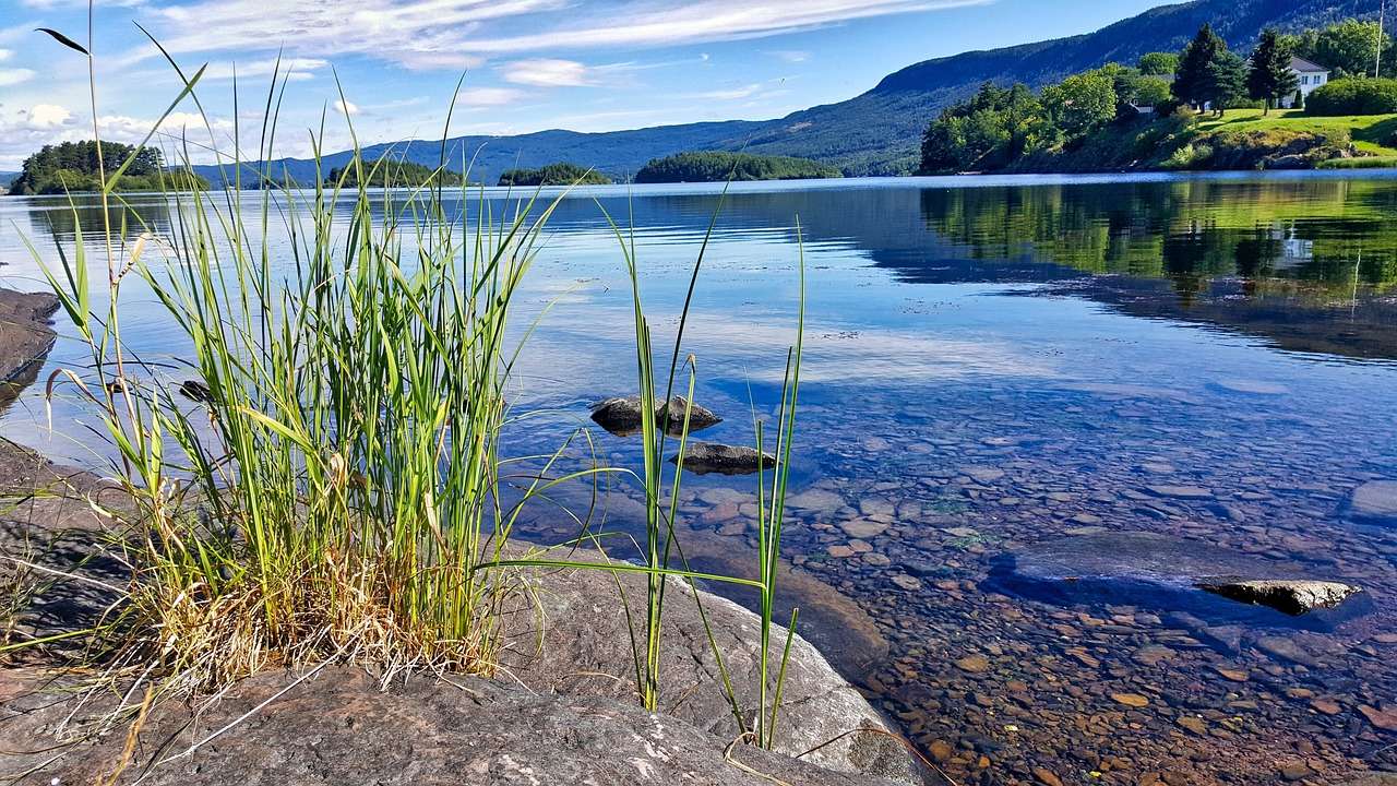 Пейзаж, вода, езеро онлайн пъзел