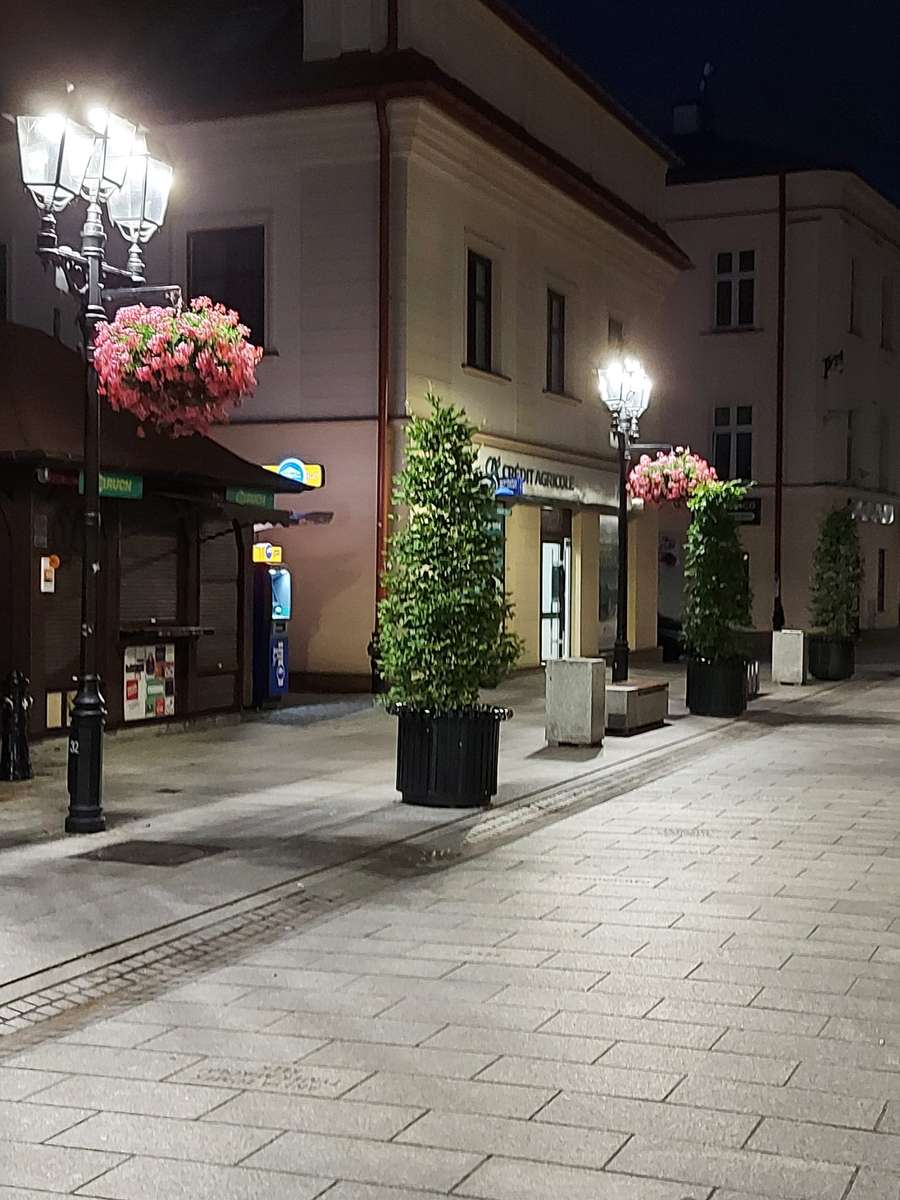 calles de Rzeszów por la noche rompecabezas en línea