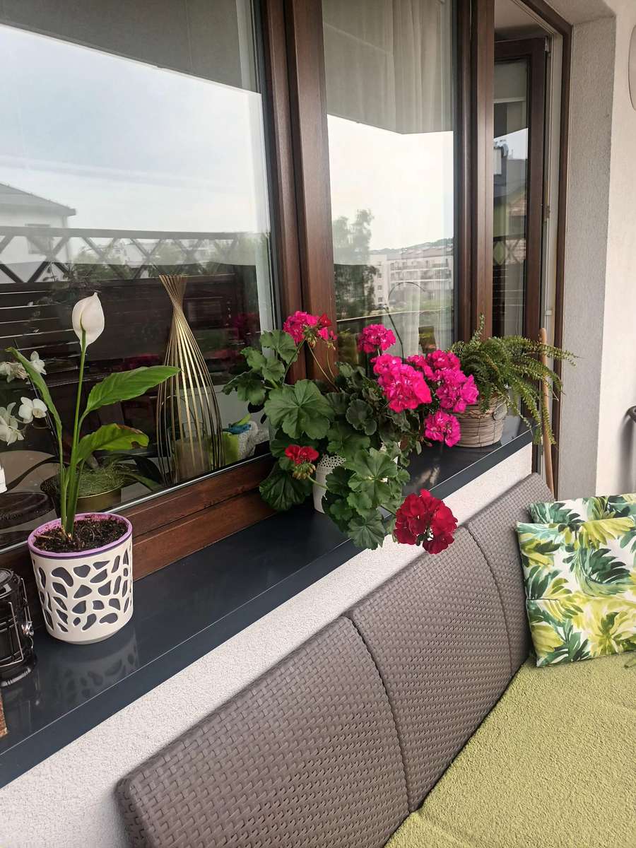 Blumentöpfe auf der Fensterbank Online-Puzzle
