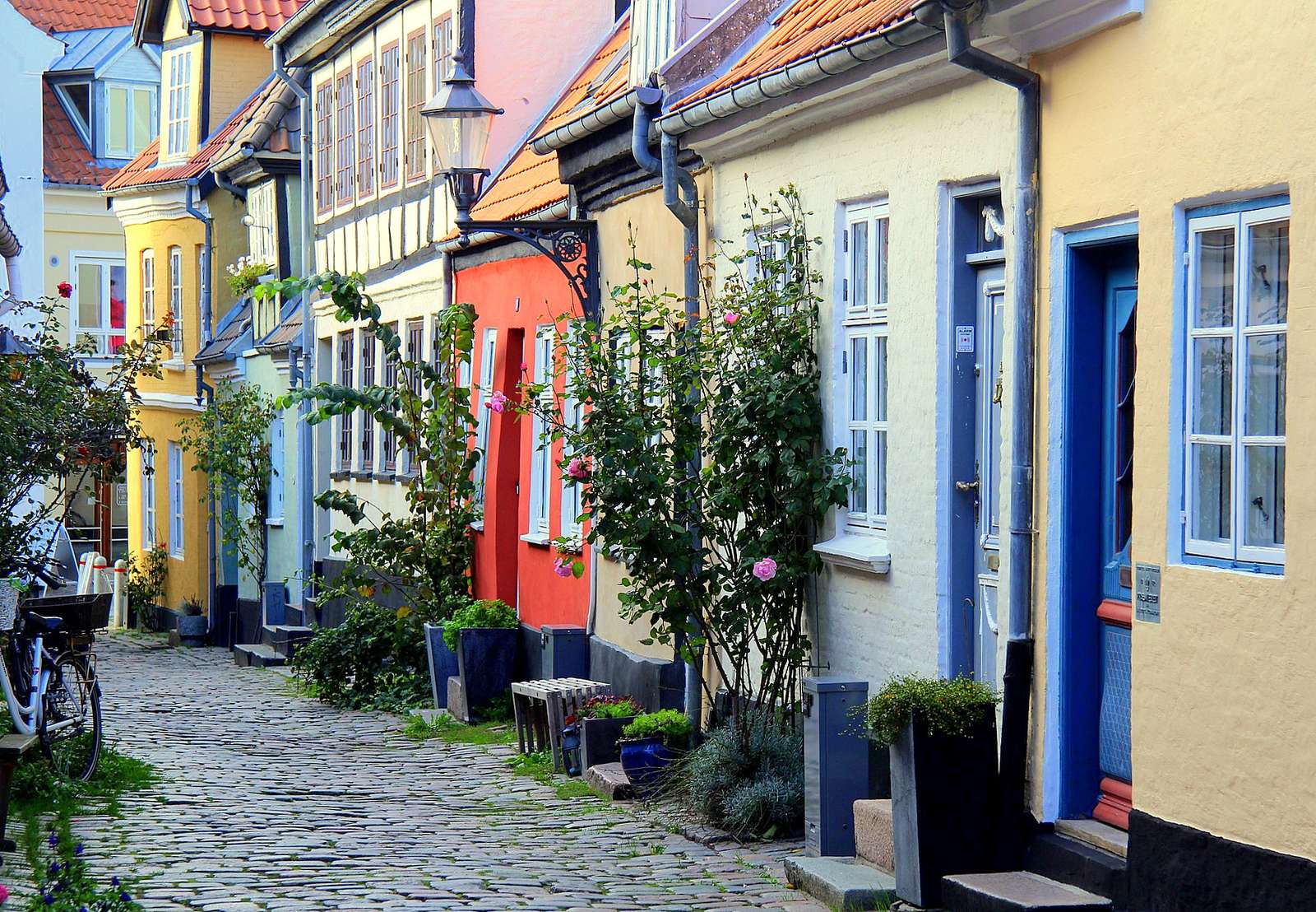Gasse mit Einfamilienhäusern in Aalborg Online-Puzzle