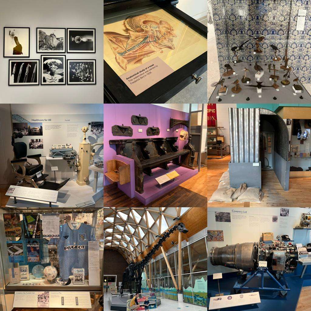 The extensive collections at the Herbert Art Galle rompecabezas en línea
