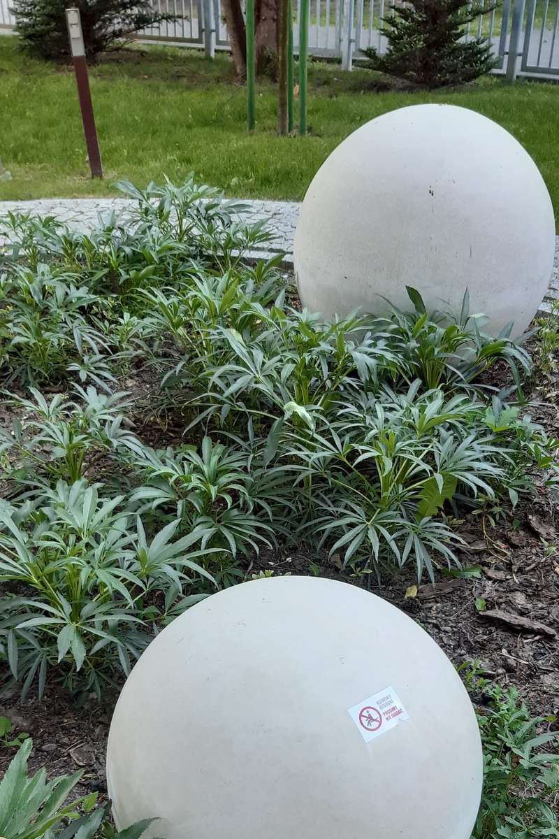 dekoratív labdák egy mini parkban kirakós online