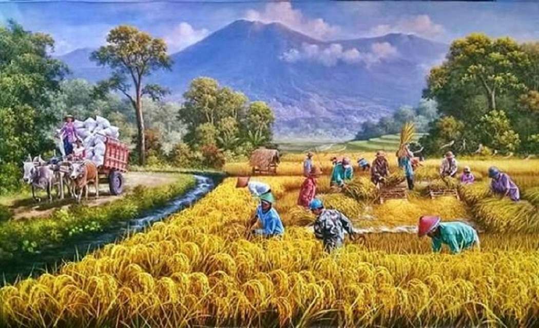 Raccolta del raccolto di riso puzzle online