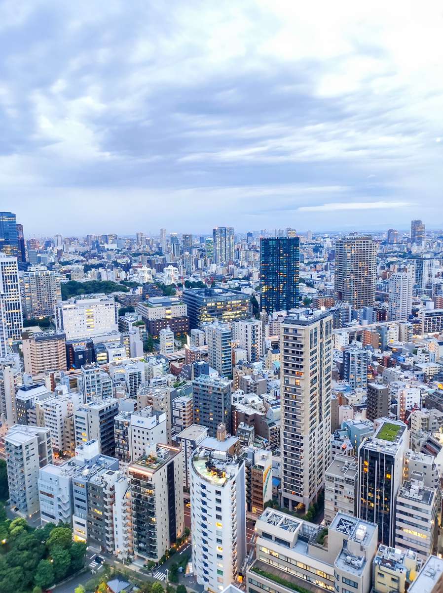 Tokio, Japan online puzzel