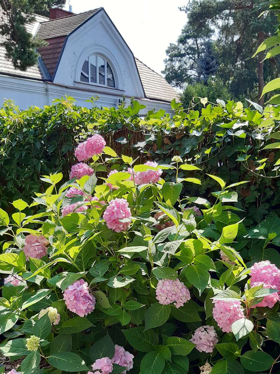 virágos kert és mögöttük egy ház kirakós online
