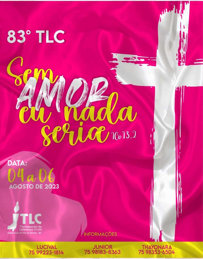 TLC Feira de Santana legpuzzel online