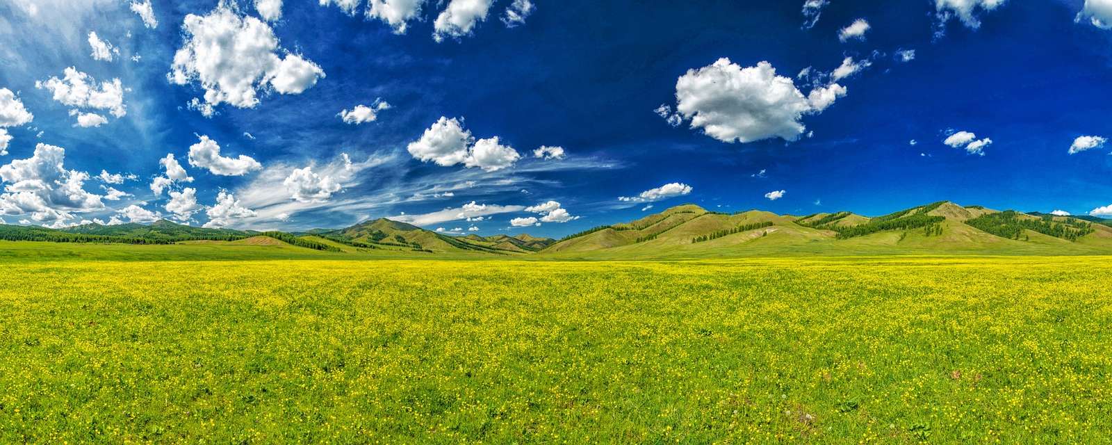 el valle de las flores rompecabezas en línea