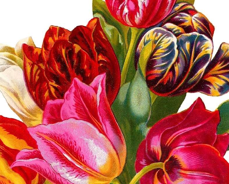 Tulipani colorati puzzle online