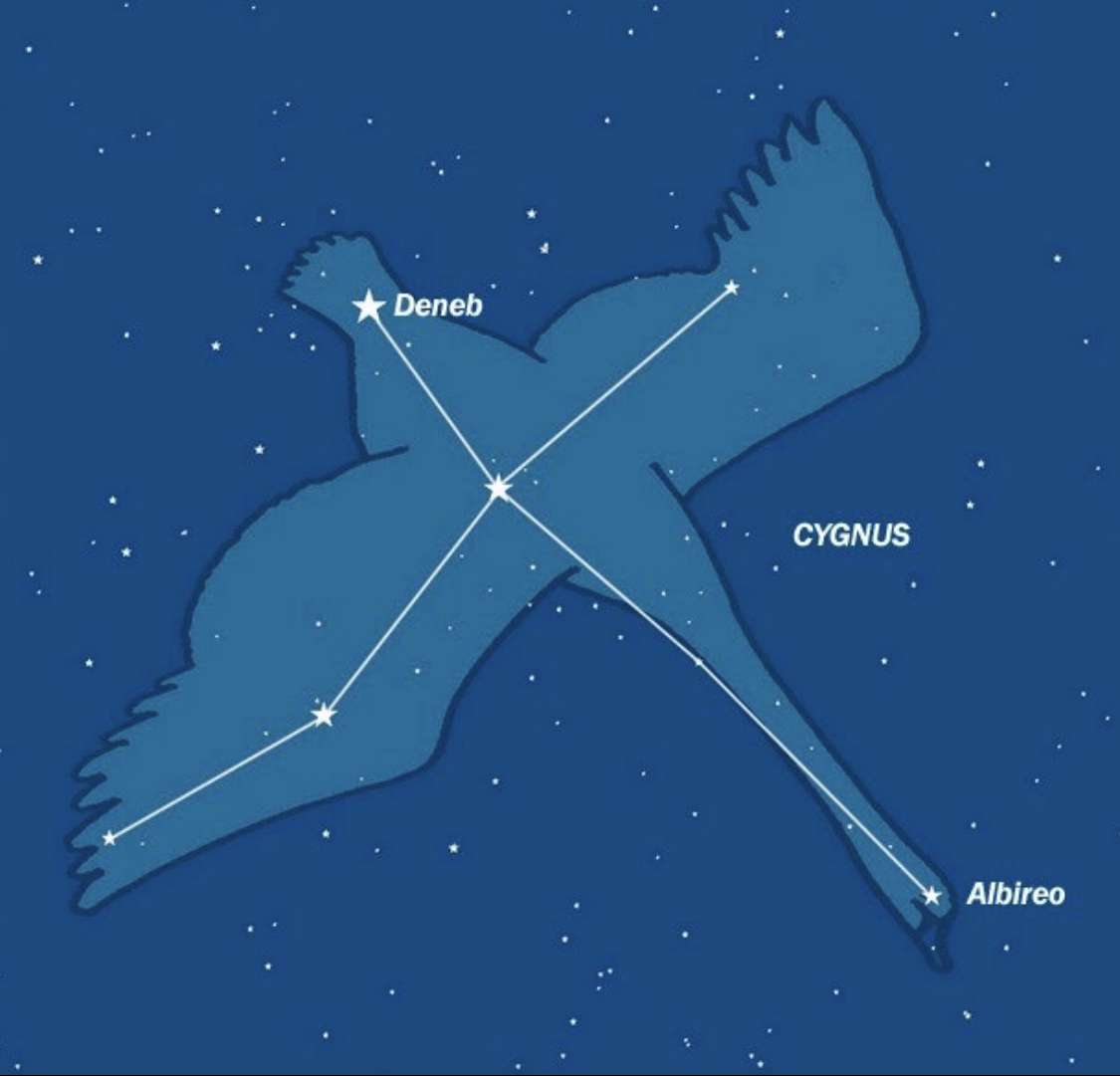 Cygnus (A hattyú) kirakós online