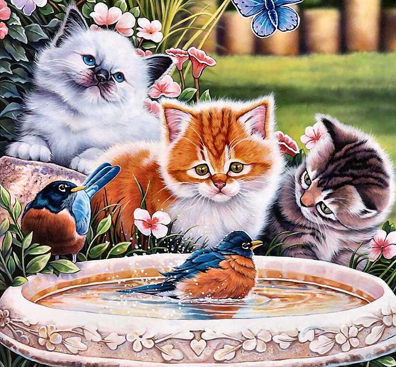 Kittens and a bird online puzzle
