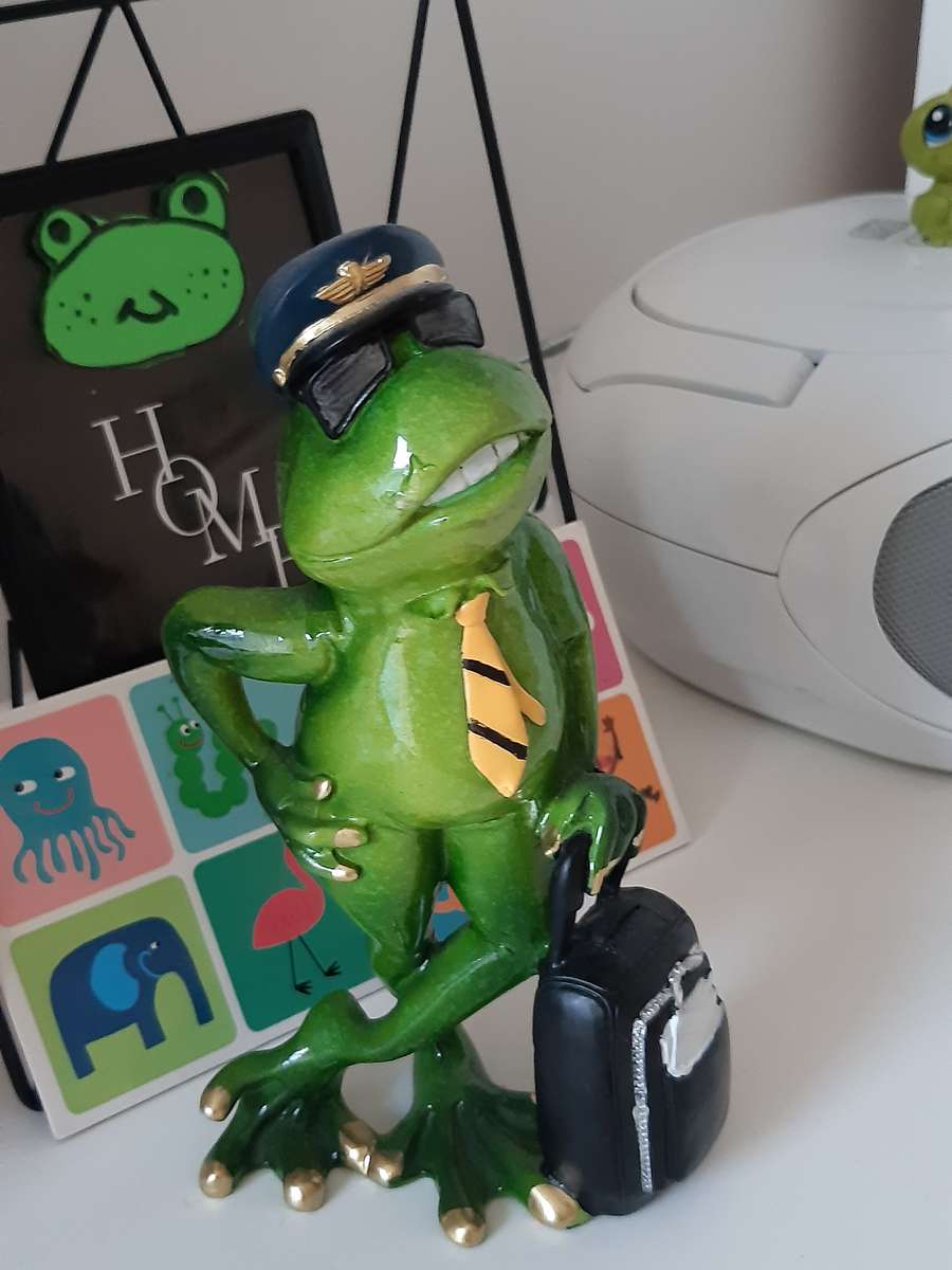 pilot frog figurine jigsaw puzzle online