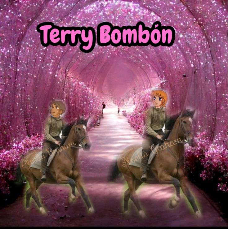 Dinamika Terry Bombónban kirakós online