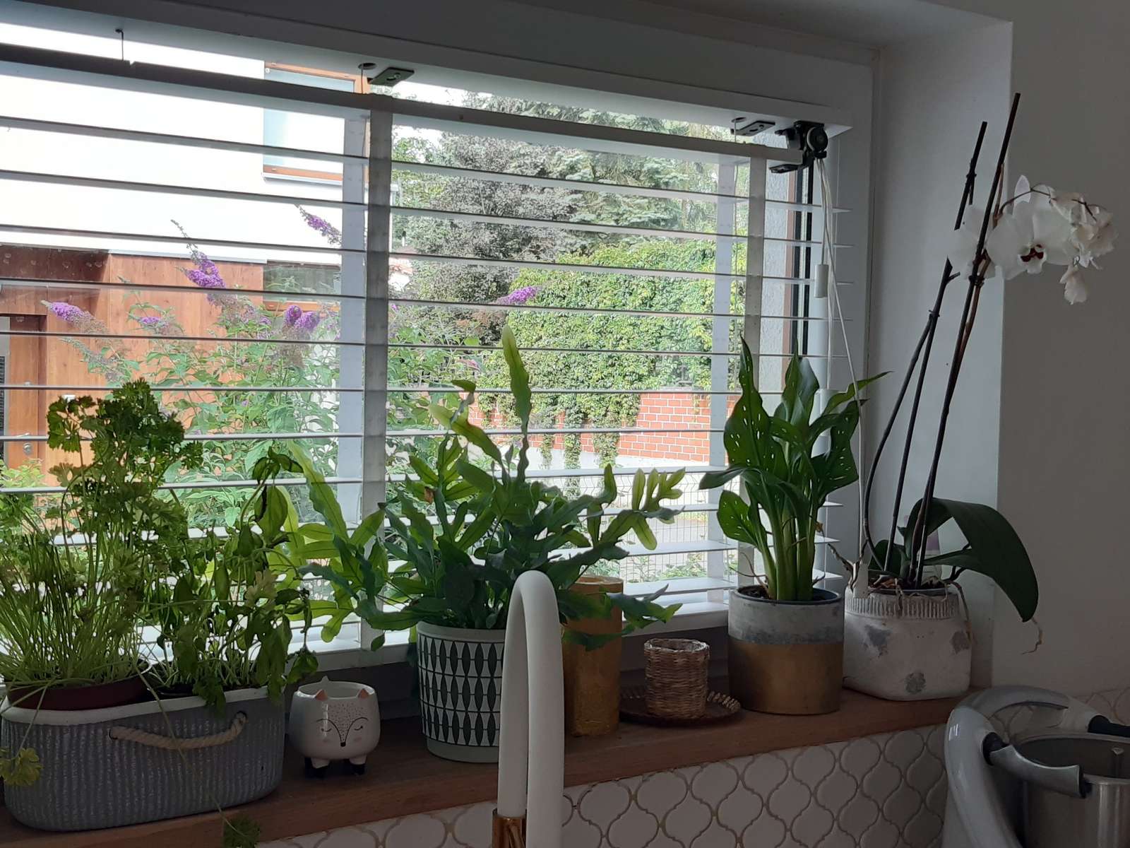 ventana en la cocina con plantas rompecabezas en línea