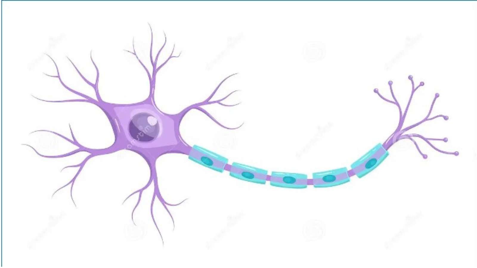 Neuron pussel på nätet