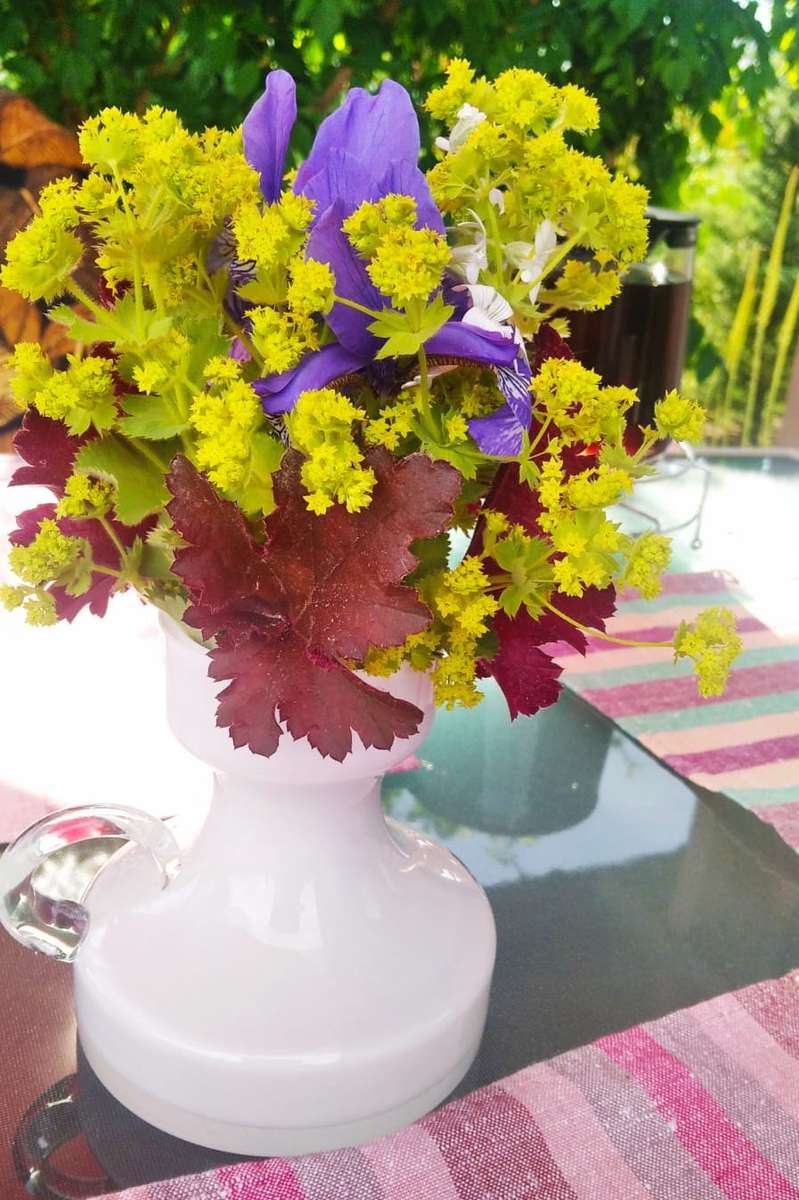 pflanzt Blumen in eine weiße Vase Online-Puzzle