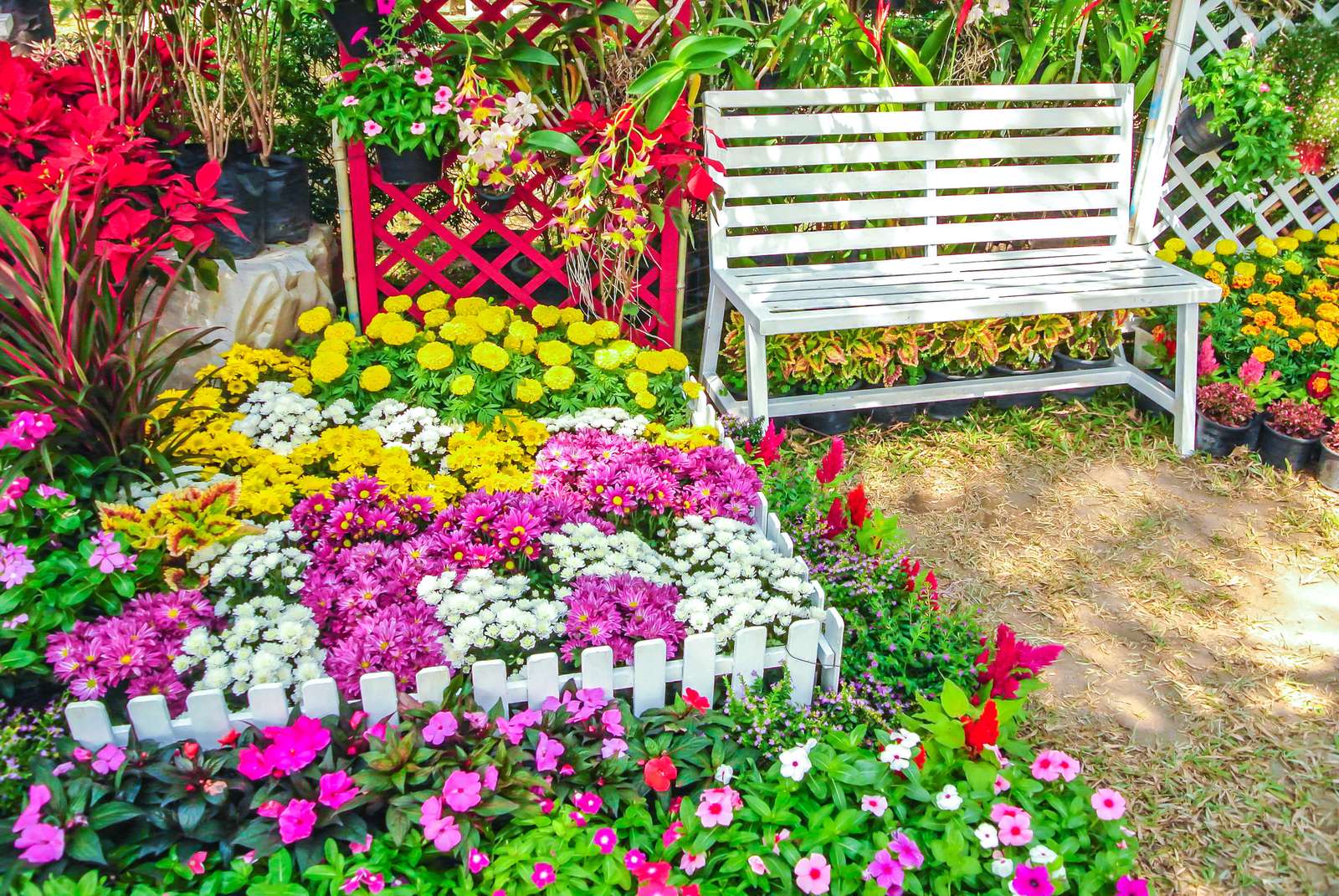 Ein Garten voller Blumen Online-Puzzle