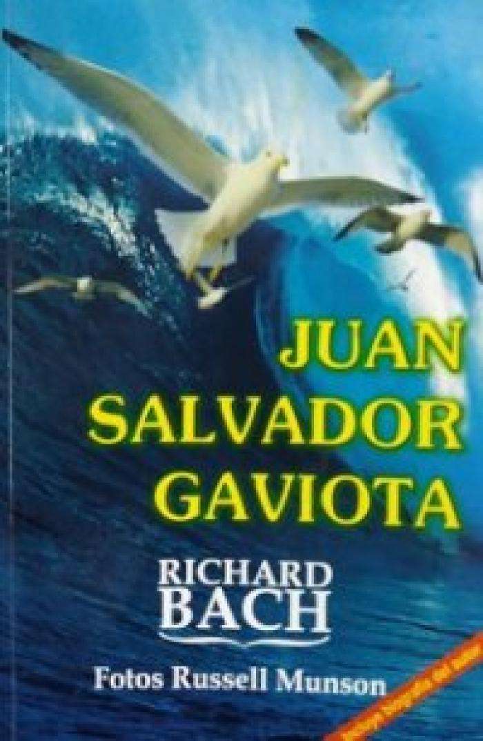 Juan Salvador Gaviota skládačky online
