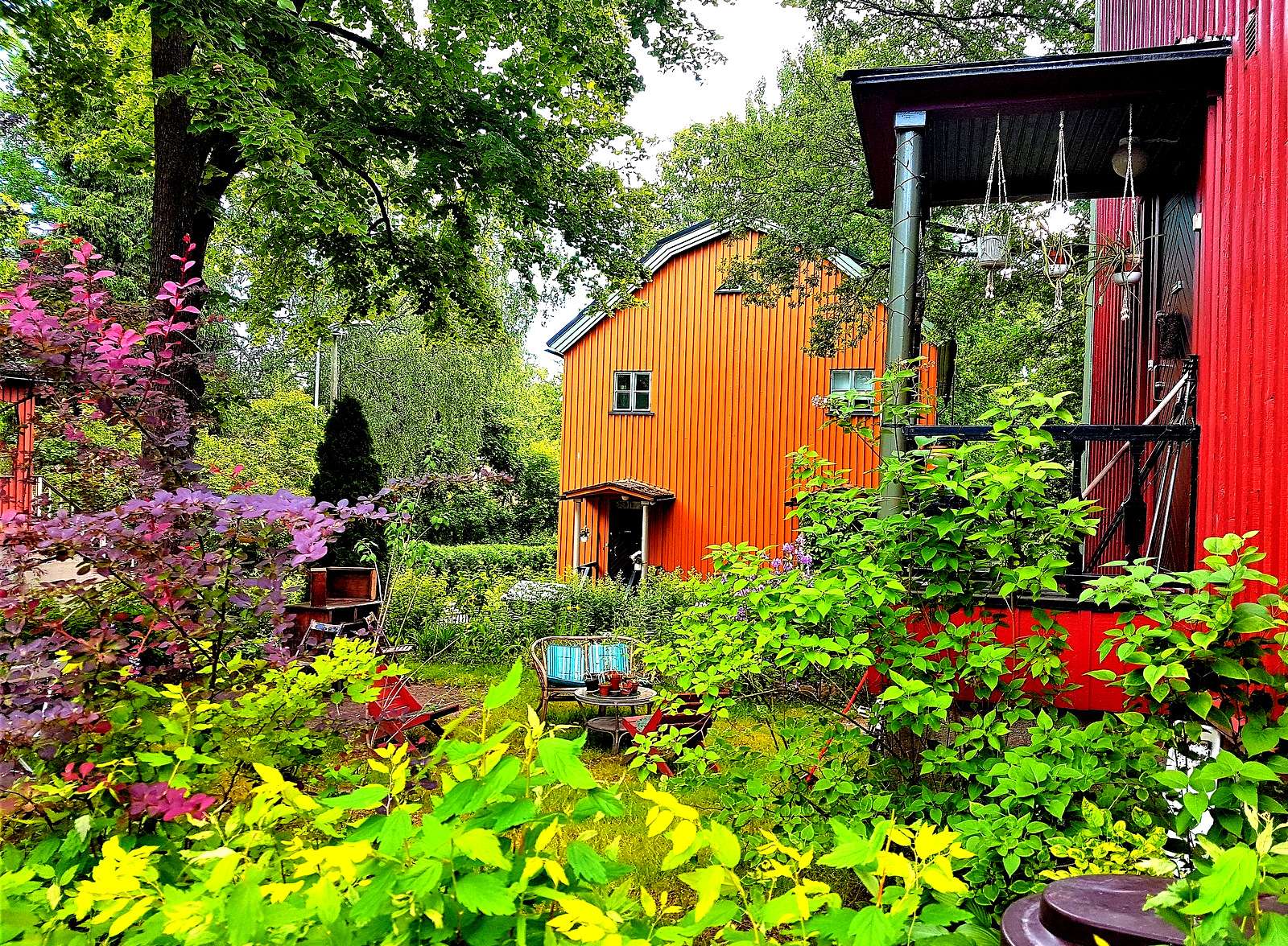 Деревянные дома в Хельсинки пазл онлайн