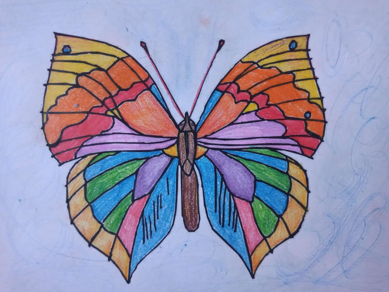 vícebarevný motýl skládačky online
