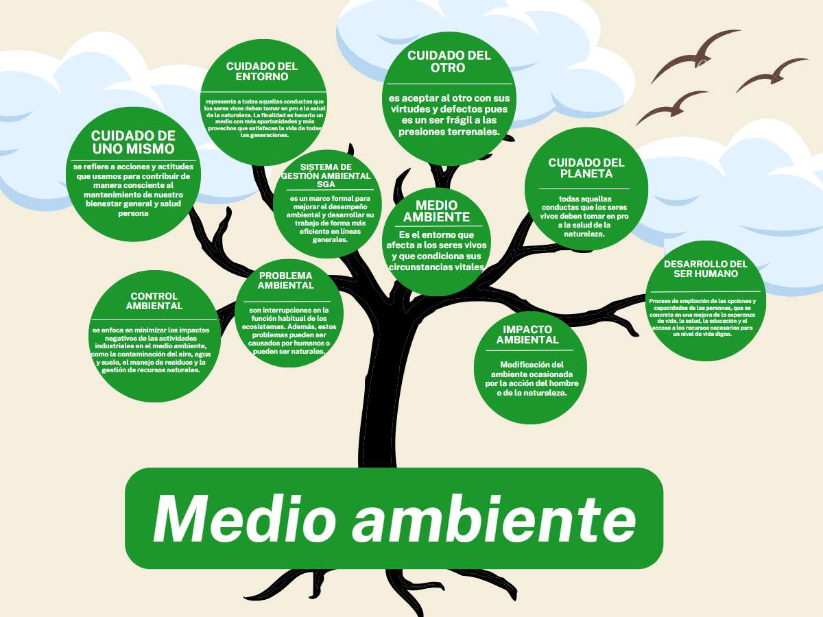 MEDIO AMBIENTE rompecabezas en línea