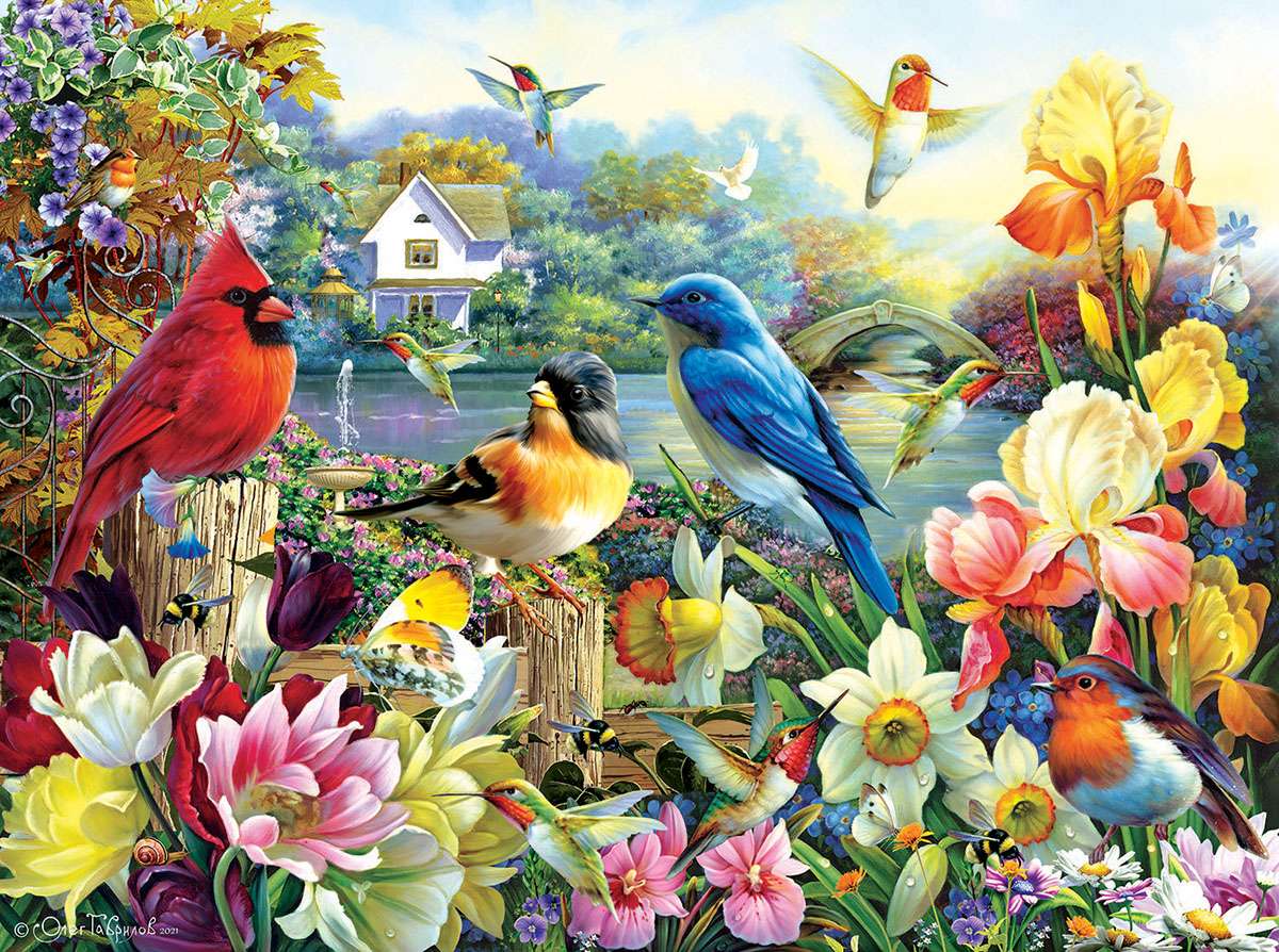 Aves puzzle online
