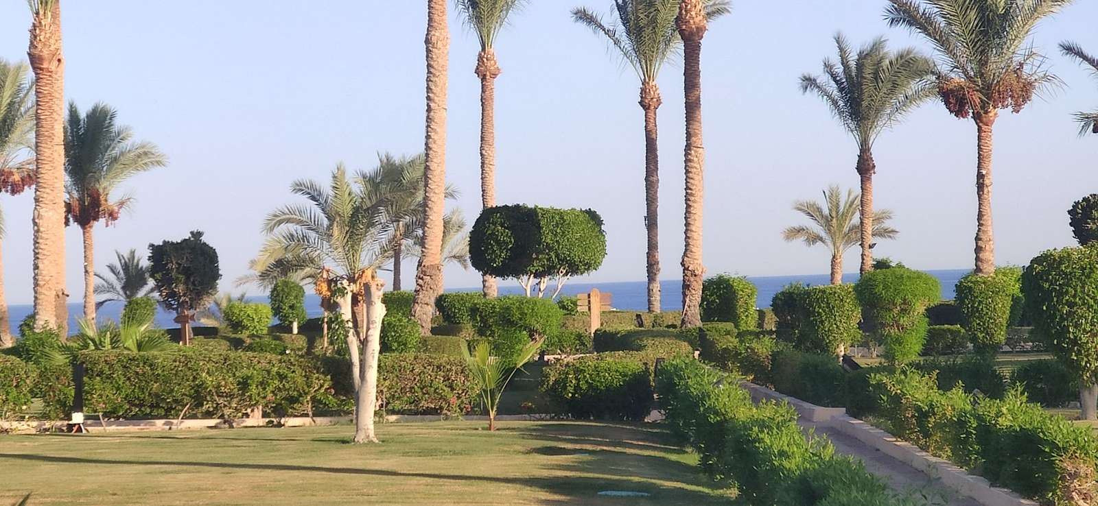 Grand Oasis Resort Σαρμ Ελ Σέιχ παζλ online