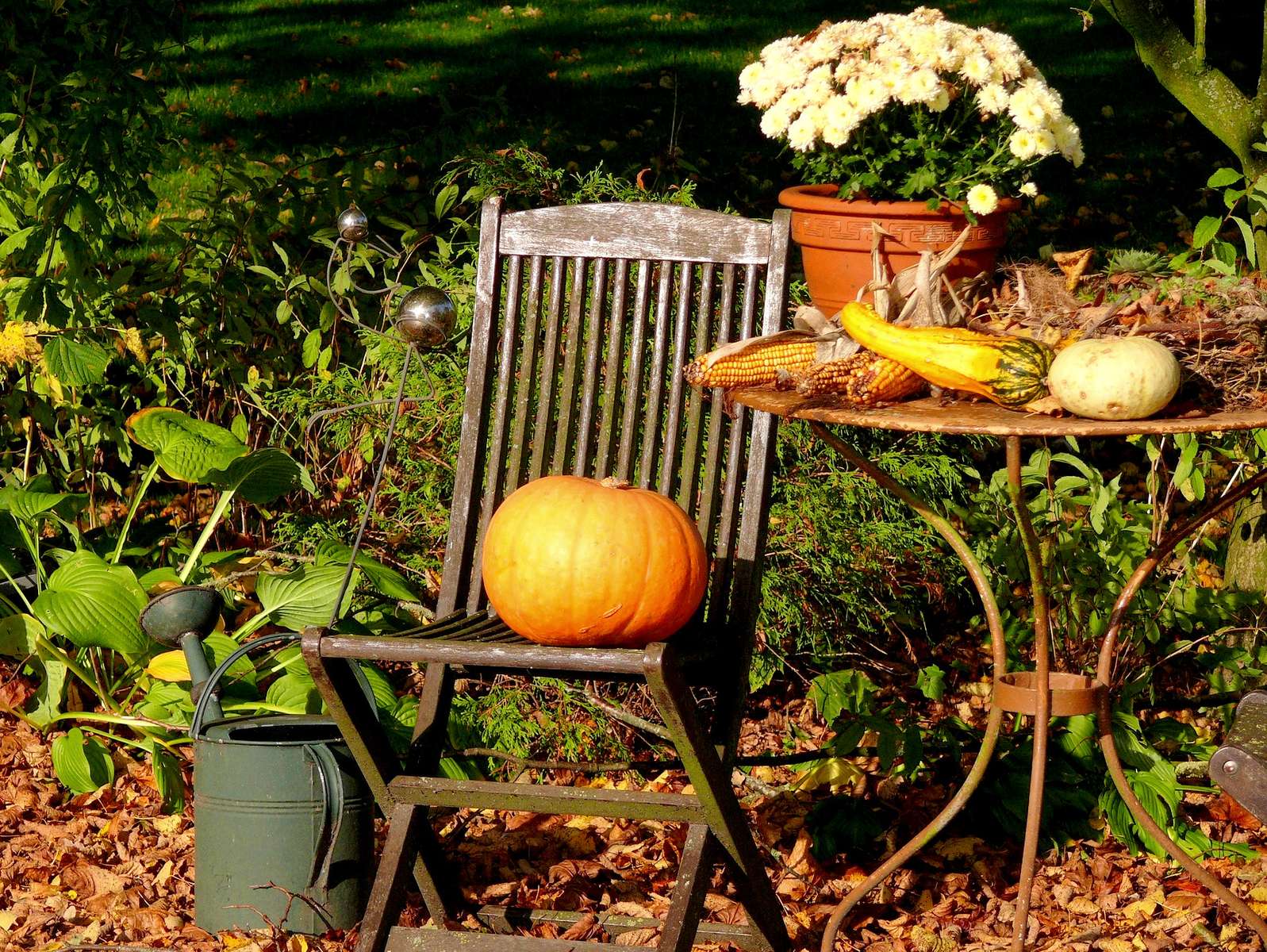 V podzimní zahradě skládačky online