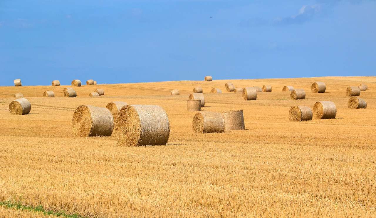 Hay Bales, Сено, Солома пазл онлайн